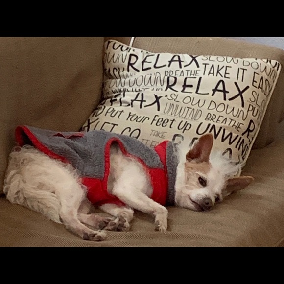 Meet your Posher, Krymylda - Picture 4 of 5